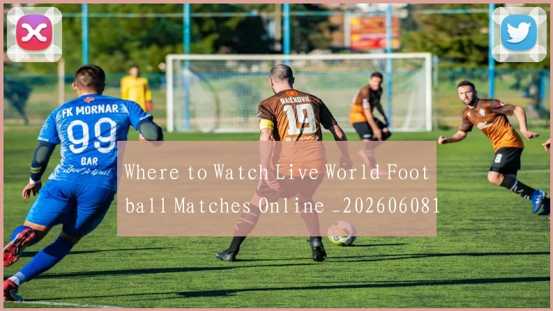 Where to Watch Live World Football Matches Online _20260608195032