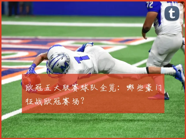 欧冠五大联赛球队全览：哪些豪门征战欧冠赛场？